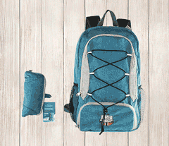Collapsible bag